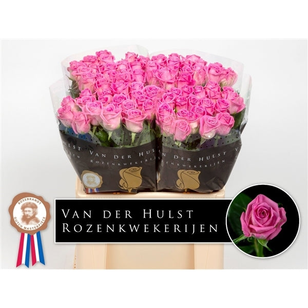 Rosenstrauß von 10 langen mittelgroßen großen rosa Rosen