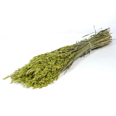 Gedroogde haver (avena) – groen