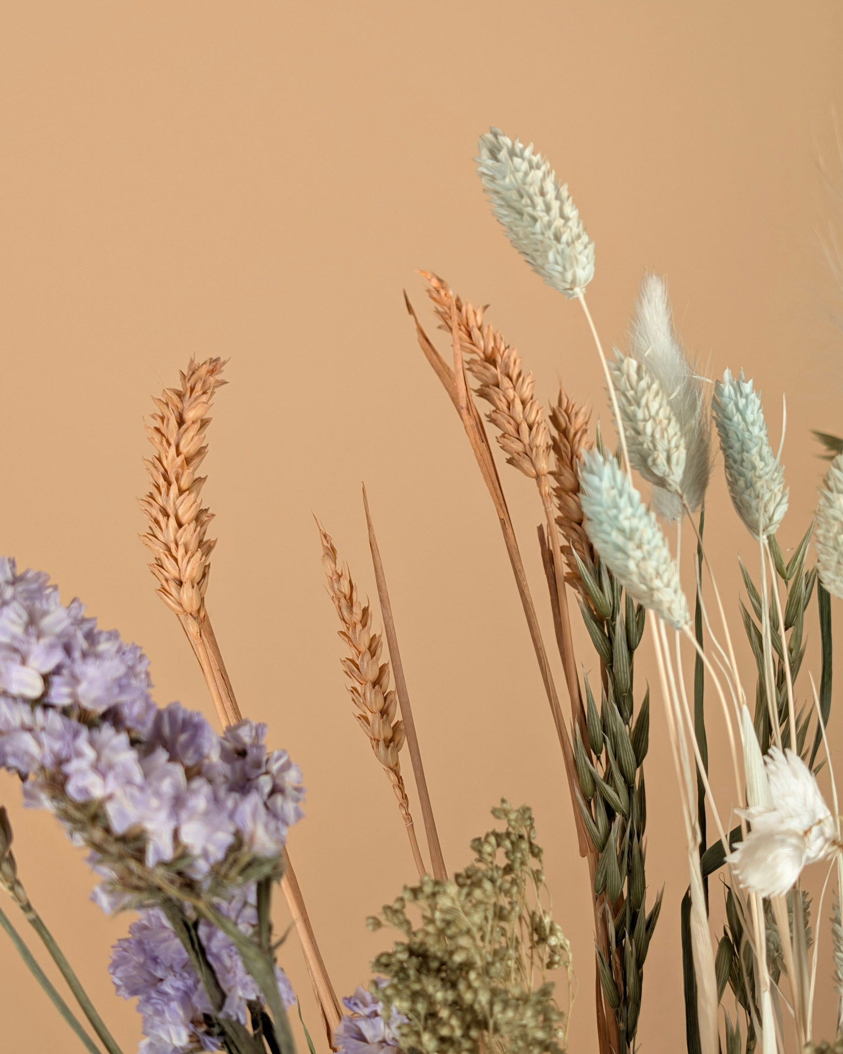 Trockenstrauß wirklich geliebt