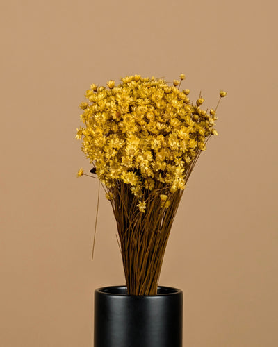 Gedroogde glixia (strobloem) – geel