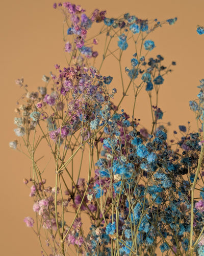 Gipspraid Disco Mix Lila & Blau getrocknet