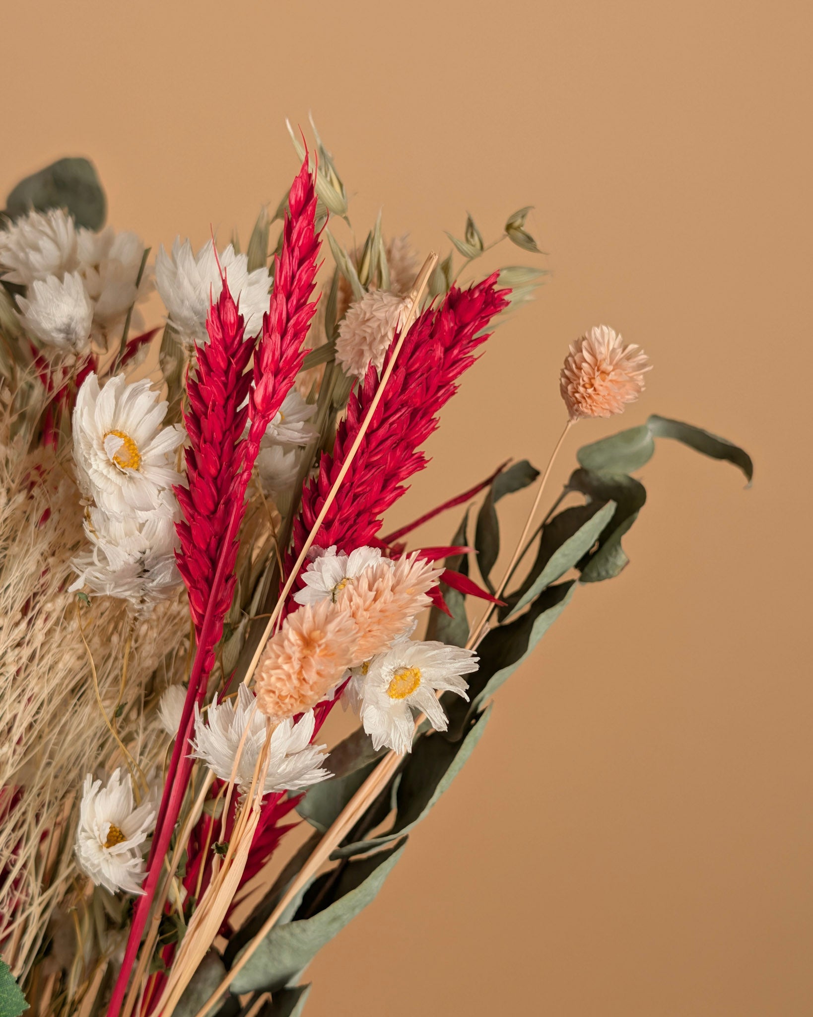 Trockenstrauß wirklich geliebt