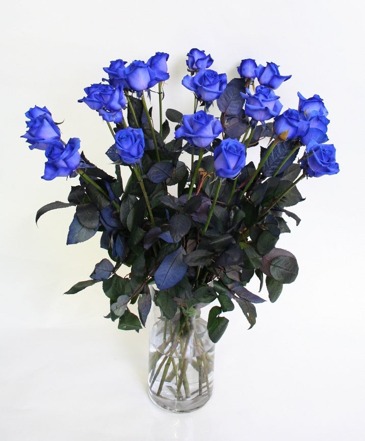 Rosenstrauß von 10 langen blauen Rosen