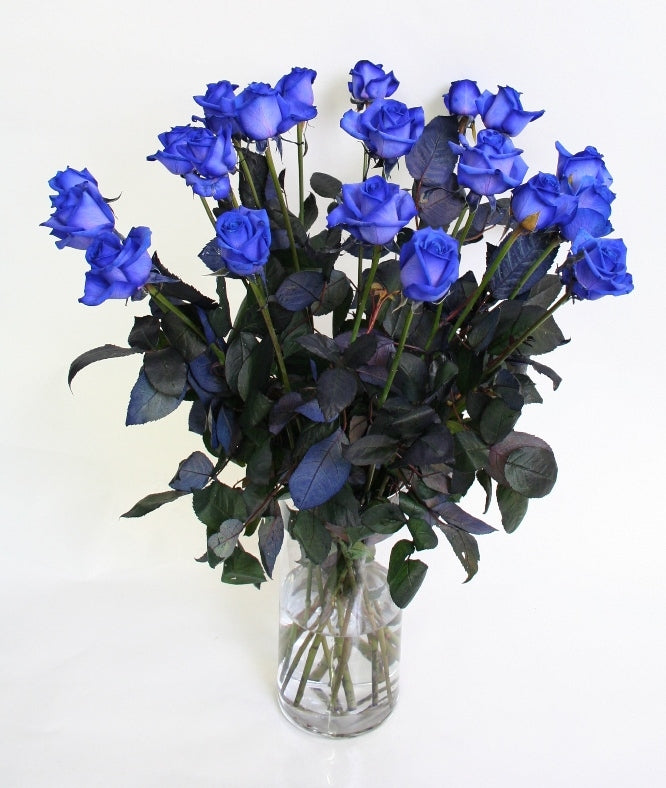 Roses bouquet of medium blue roses