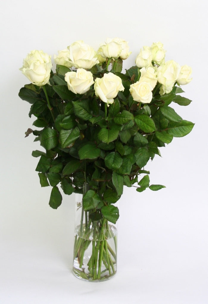 Roses Bouquet de 10 longues roses blanches crème à grande fleurs
