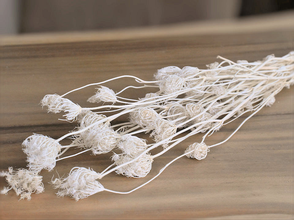 Fenchel bleichte 150gr.