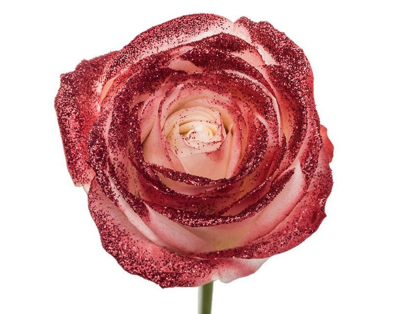 Strauß langer weißer Rosen mit rotem Glitzer