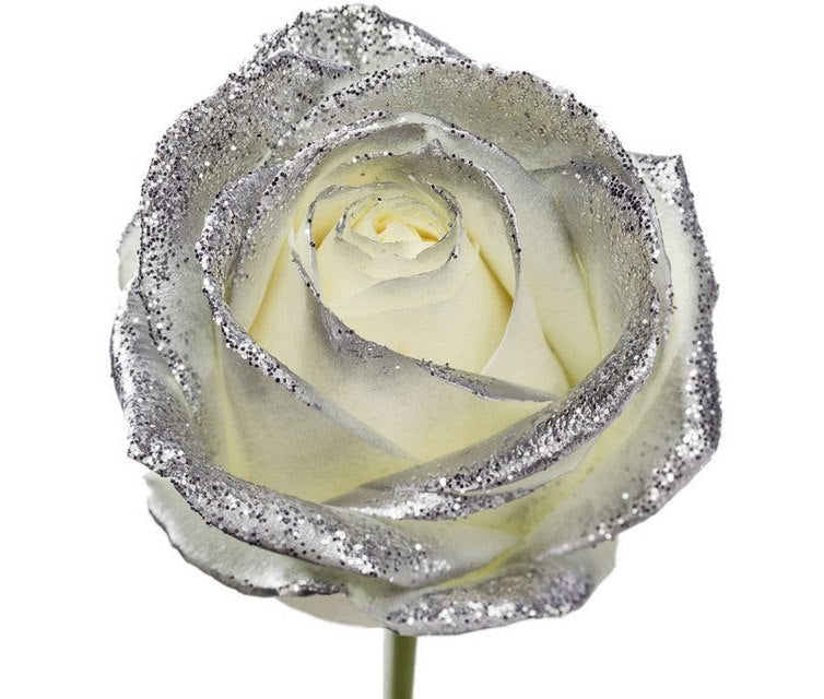 Bouquet de longues roses blanches avec des paillettes argentées