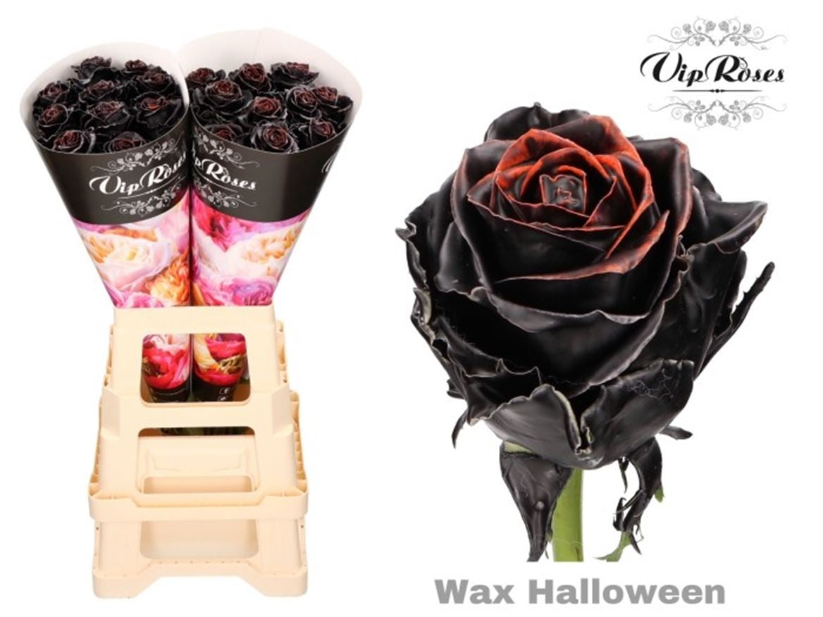 Wachsrosen Bouquet Halloween