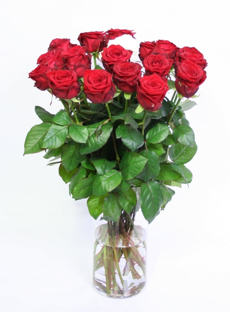 Bouquet aus großen roten Rosen mit 1 weißer Rose