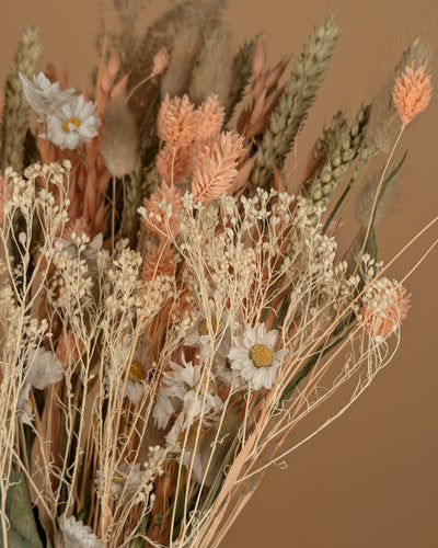 Trockenstrauß wirklich geliebt