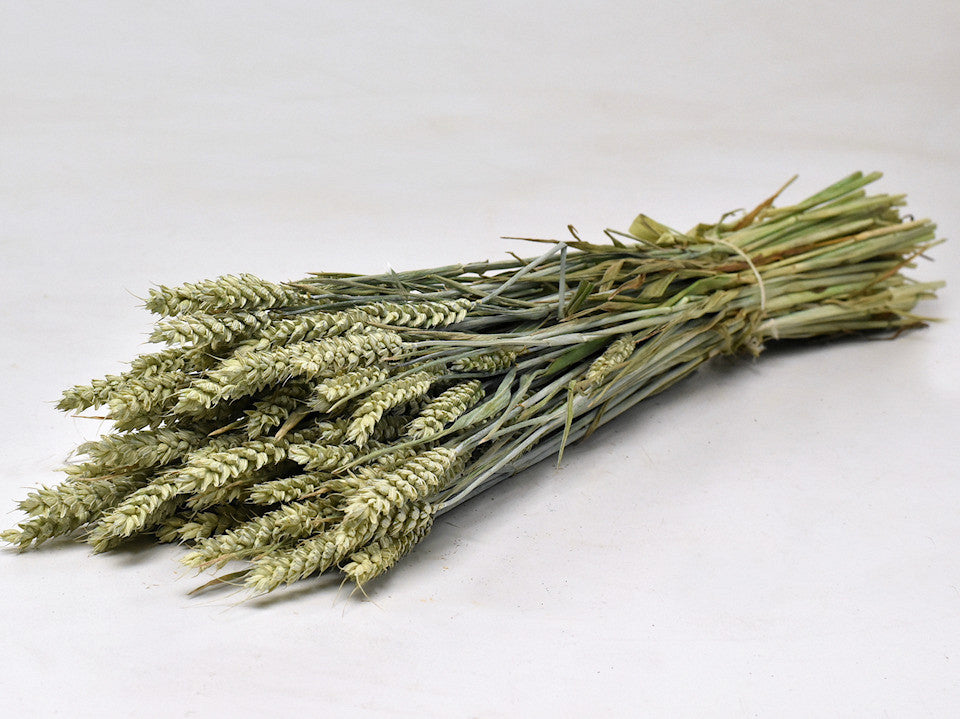 Gedroogde tarwe (triticum) – naturel