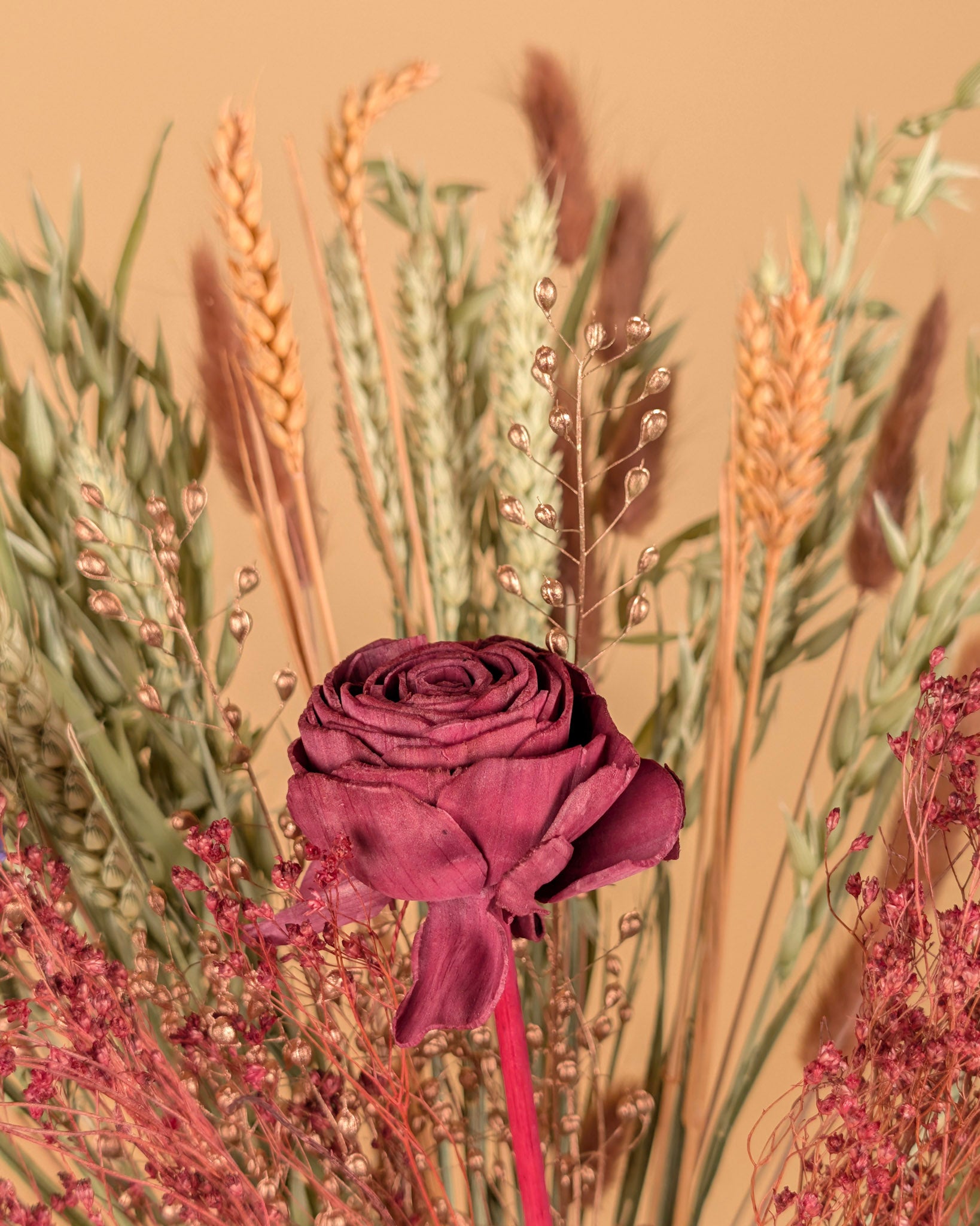 Délice de Bourgogne – Bouquet de fleurs séchées des champs (50 cm)