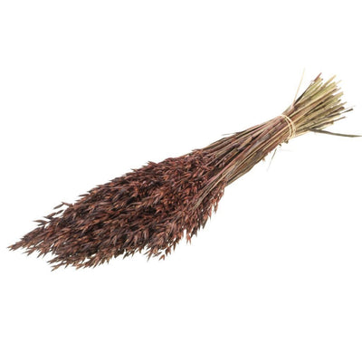 Gedroogde haver (avena) – bruin