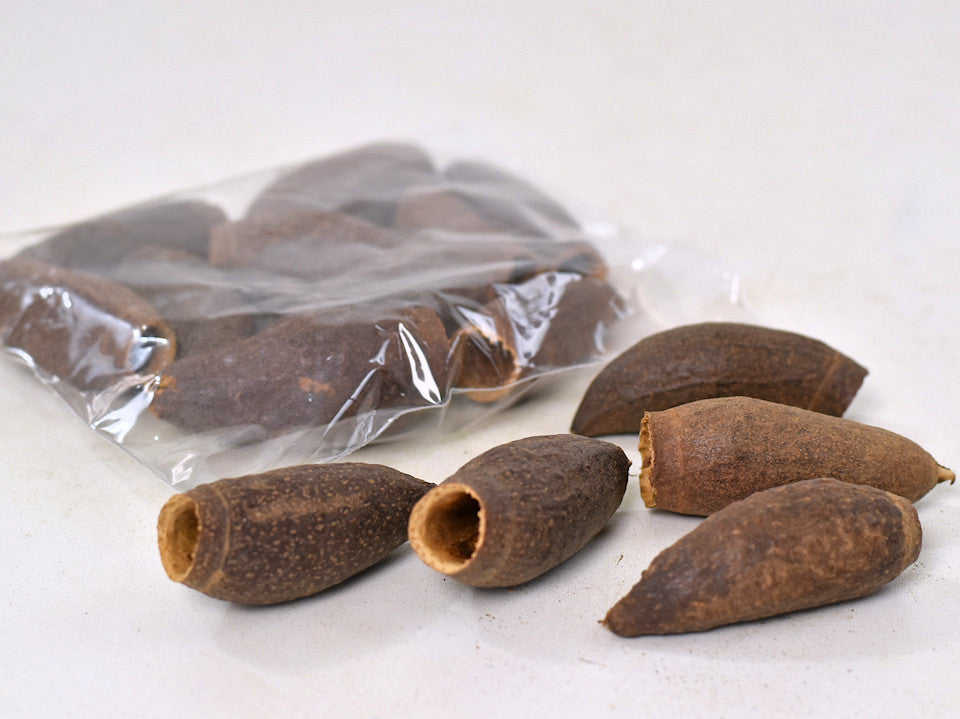 Jequitiba 5-7cm 50-pack
