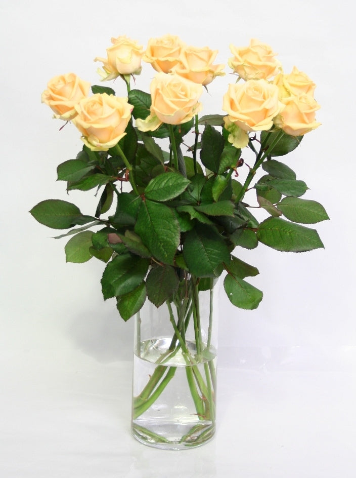 Roses bouquet of 10 long large -flowered peach roses