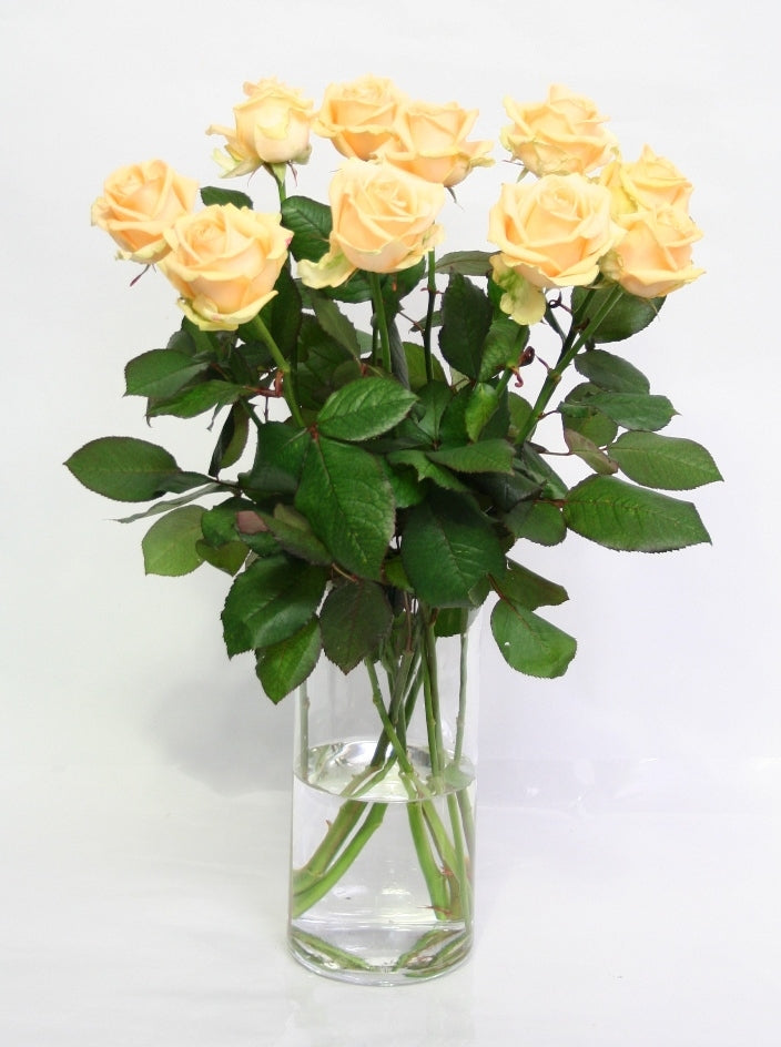 Bouquet de roses de 10 roses de pêche à fleurs de longues longues