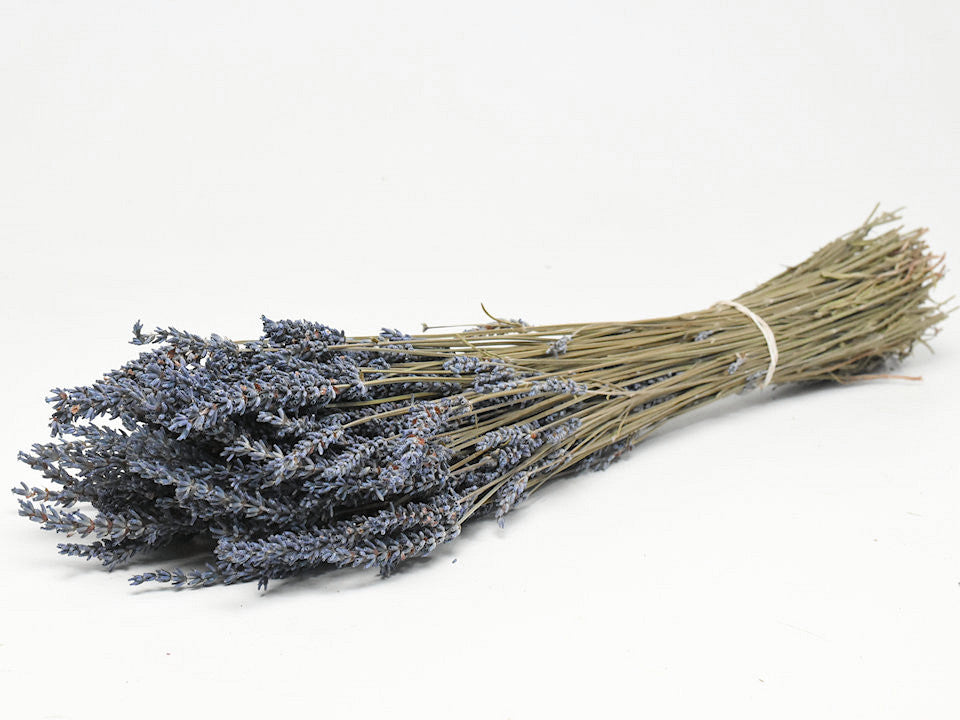 Getrockneter Lavendin 40 cm 100gr