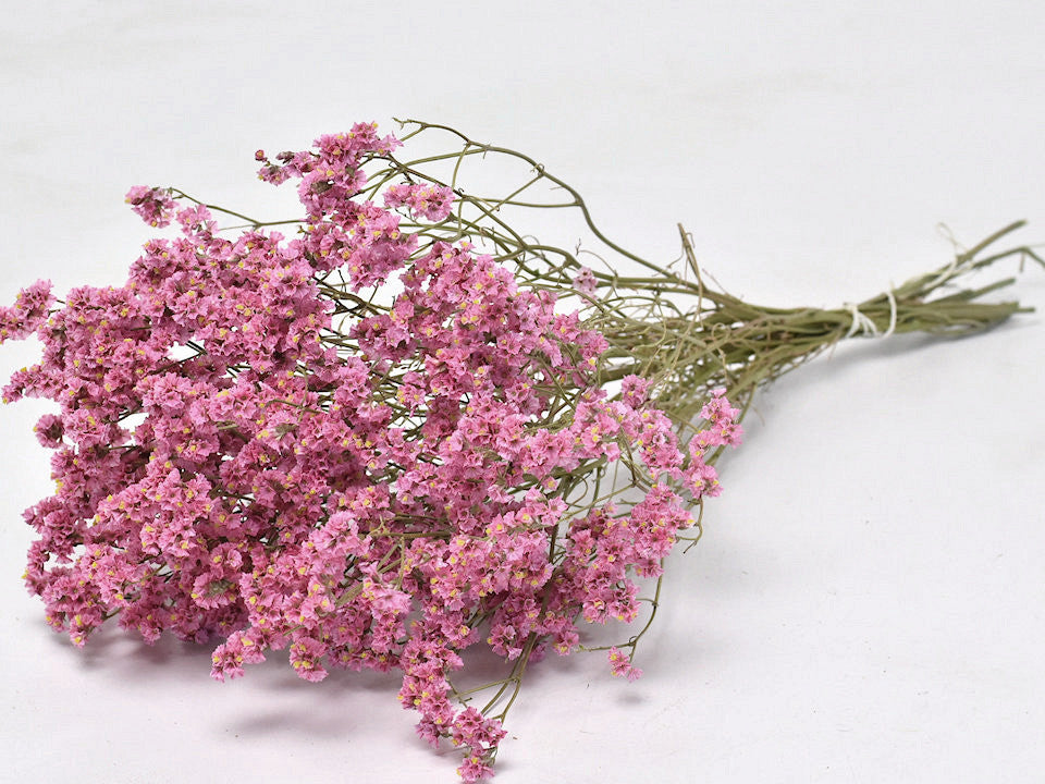 Limonium Roze 60cm