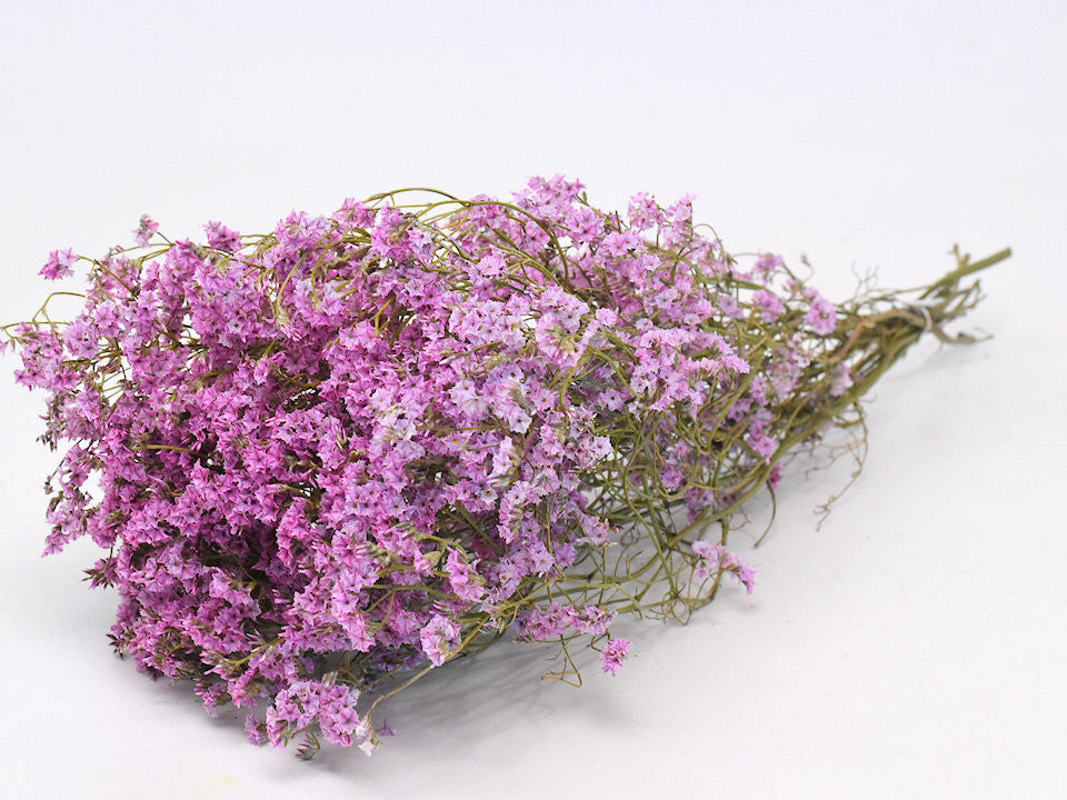 Limonium 60cm Lichtroze