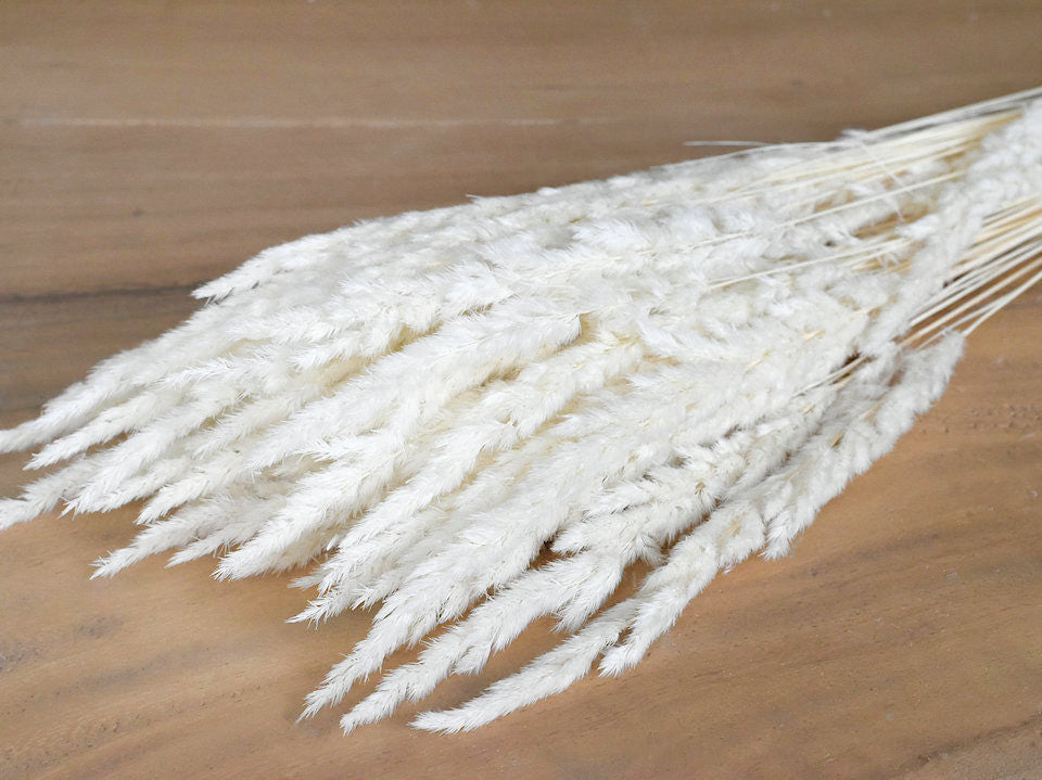 Mappetta bleichte 100gr. 90 cm