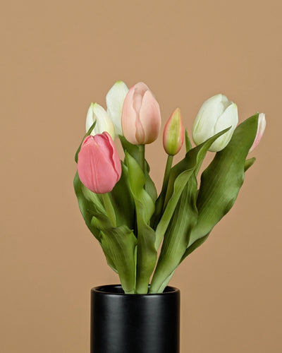 Lathyrus en soie – Crème (75 cm)