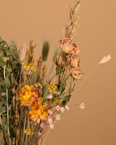 Droog Veldboeket - Sunny Delight