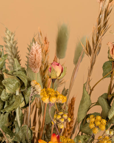 Droog Veldboeket - Sunny Delight