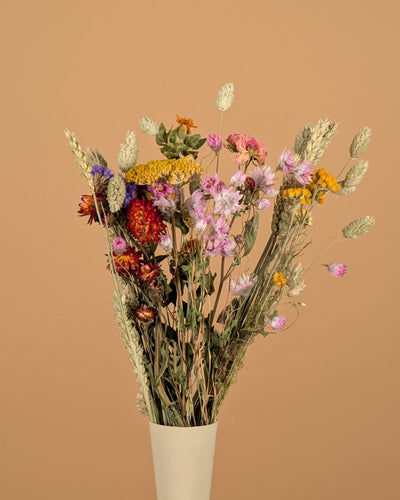 Gedroogd veldboeket Colorful