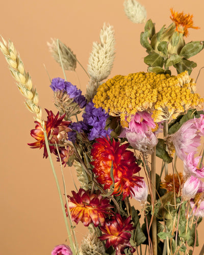 Gedroogd veldboeket Colorful