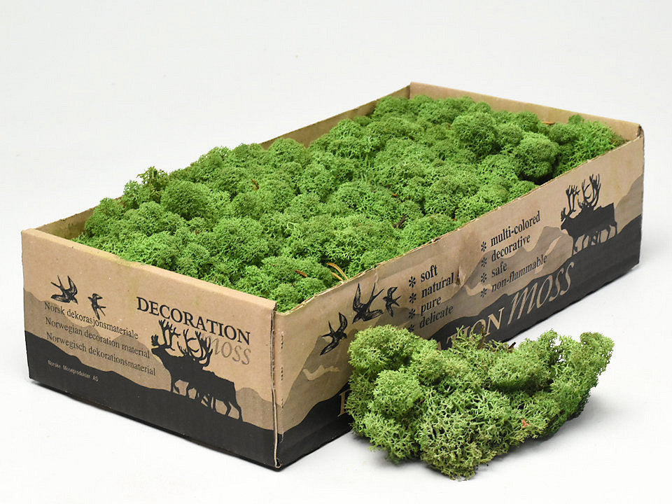 Reindeer moss middle green 500gr.