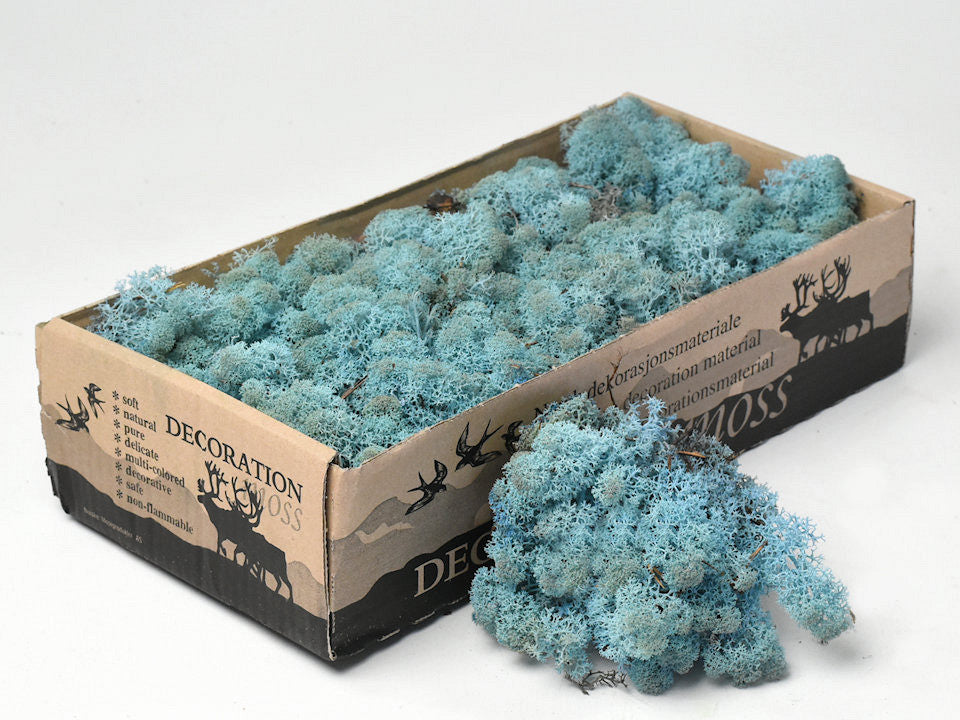 Rendiermos aquamarine 500gr.