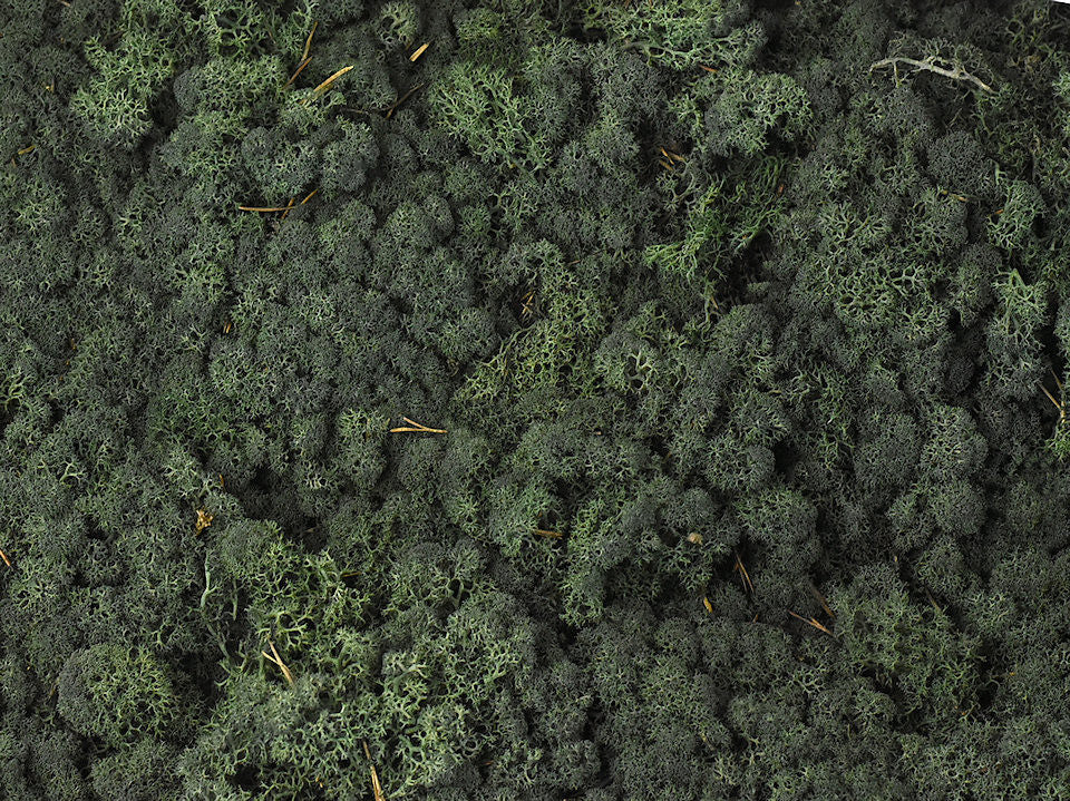 Rendremos Pine Green par kg