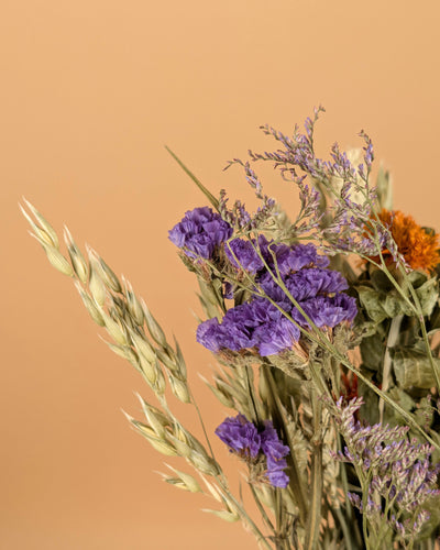 Getrocknete Feldstraußgelbe Freude