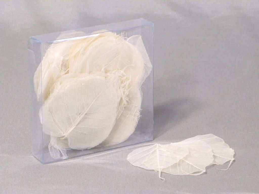 Squelette laisse blanc 200pcs