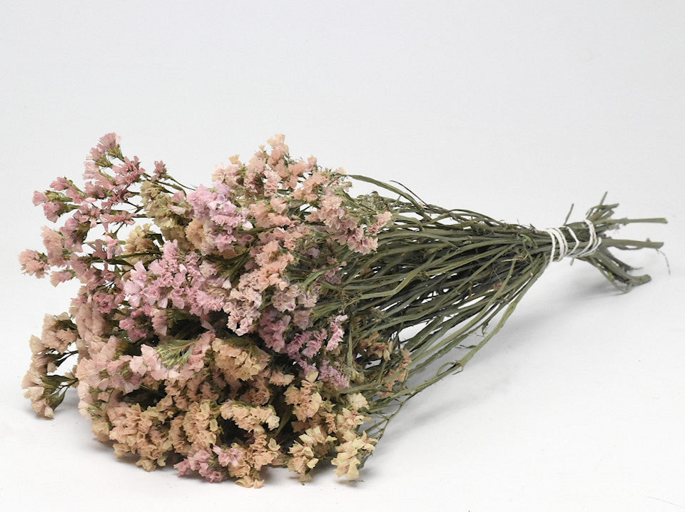 Mélange de pêche doux de Statice sinuata