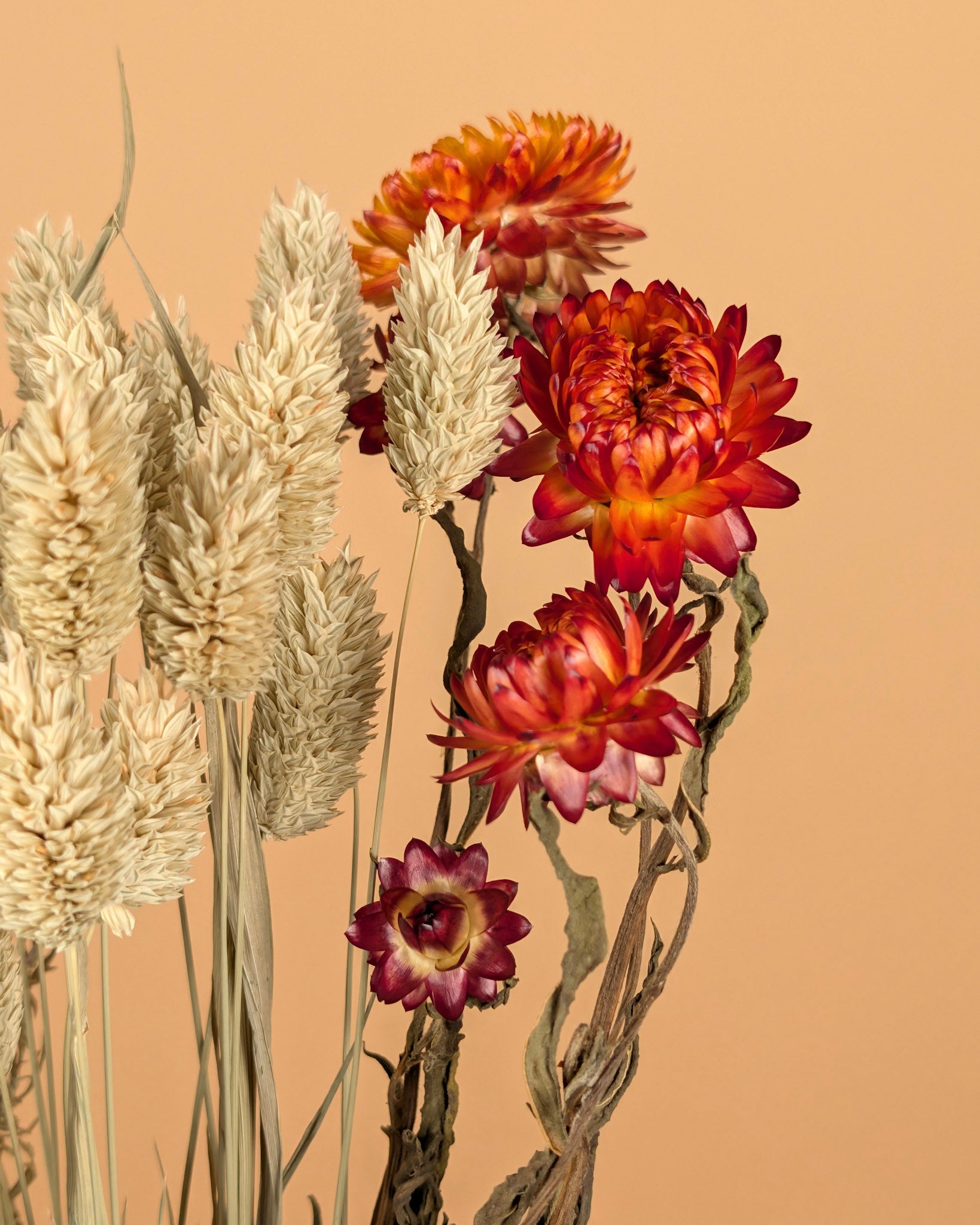 Droogboeket Colorful