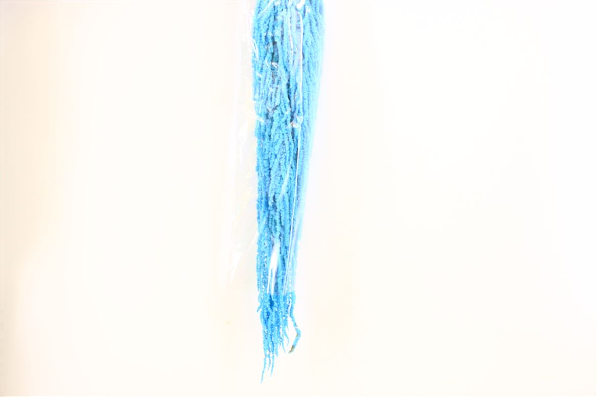 Gedroogde amaranthus caudatus – licht blauw