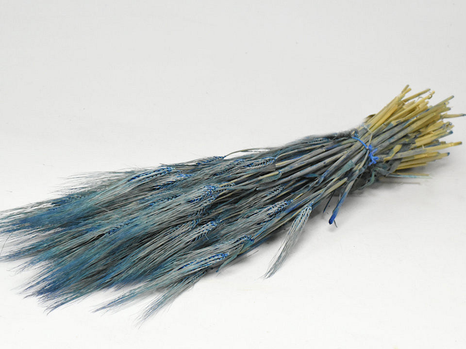 Gedroogde gerst – blauw