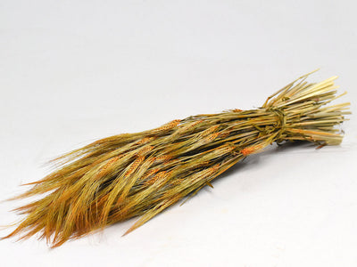 Gedroogde gerst – oranje