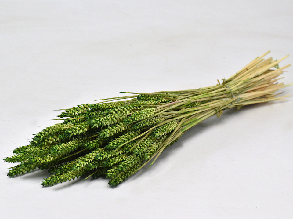 Tarwe Groen 70cm