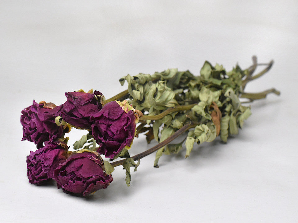 Dried peonies Purple