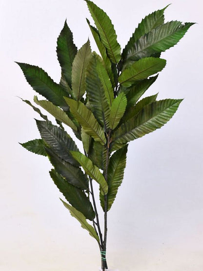 Châtaignier 150gr. 60 cm vert