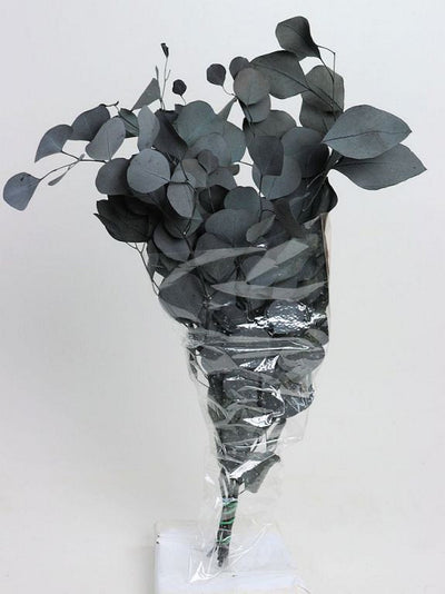 Eucalyptus Populus Groen 65cm