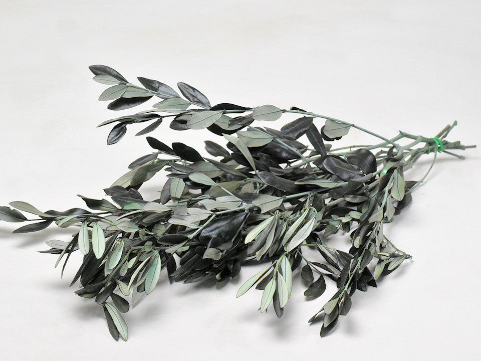 Olivenzweig Green 50 cm