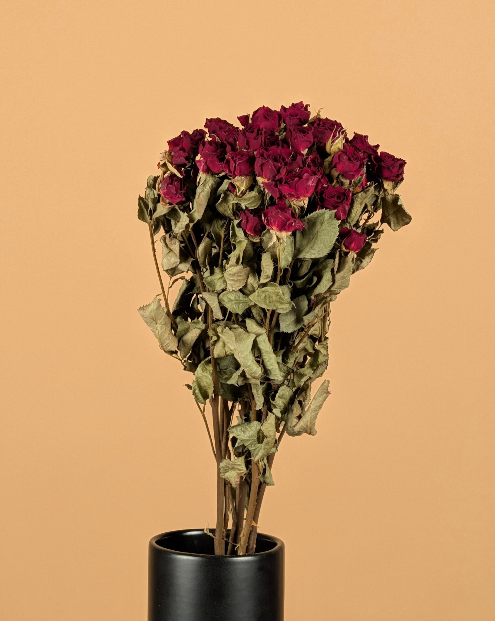 Getrocknete dunkelrote Rosen