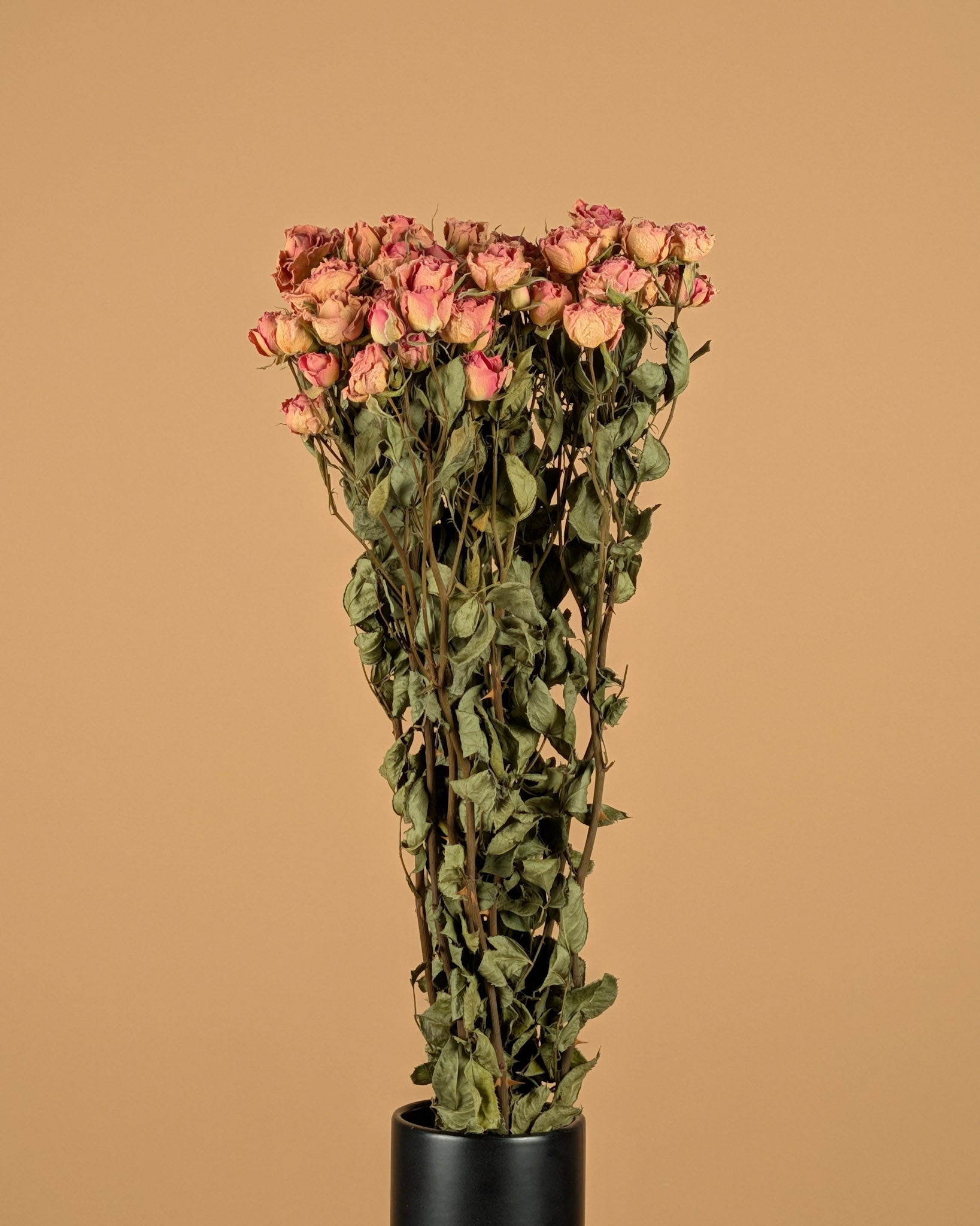 Gedroogde trosroosjes – roze