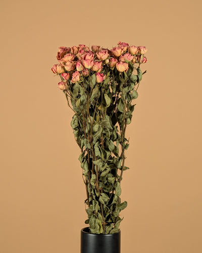 Getrockneter rosa Haufen