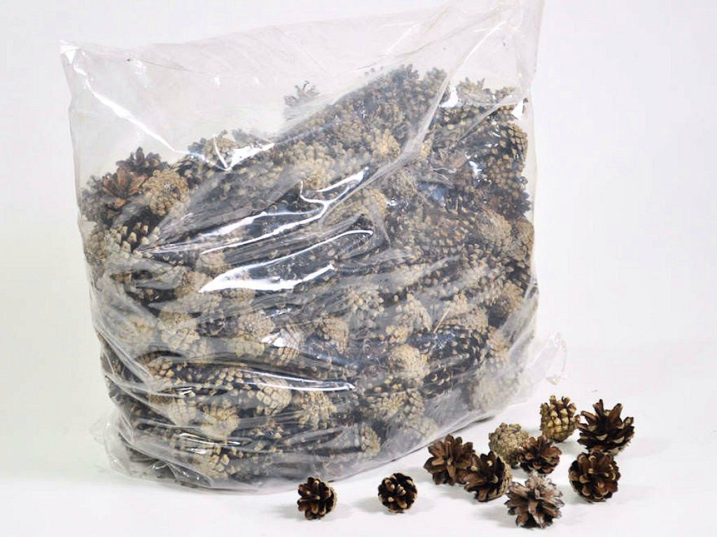 Pine cone sylvestris 5kg