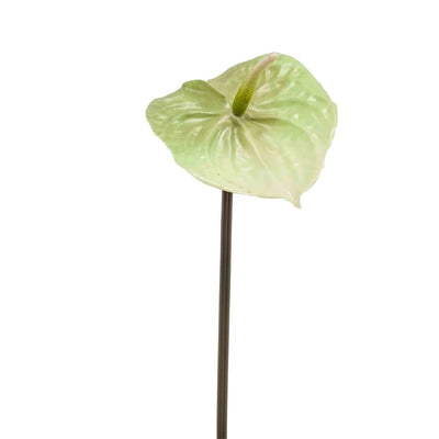 Zijde Anthurium – Lichtgroen (65 cm)